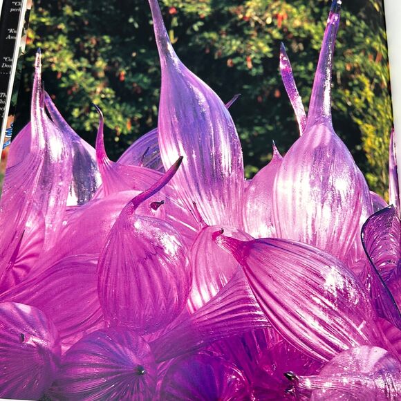 CHIHULY 1998 Revised Expanded 2nd Edition Donald Kuspit Hardcover DJ 2002 - Picture 8 of 10